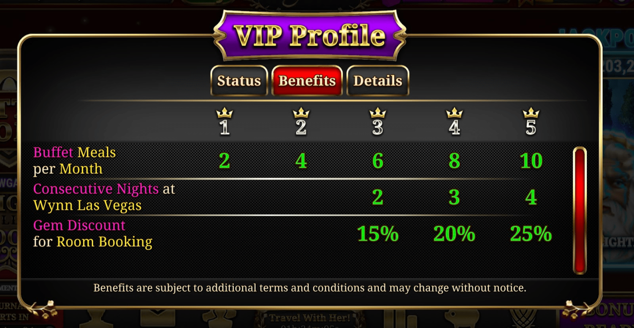 What are the Loyalty Rewards program benefits for each VIP Level